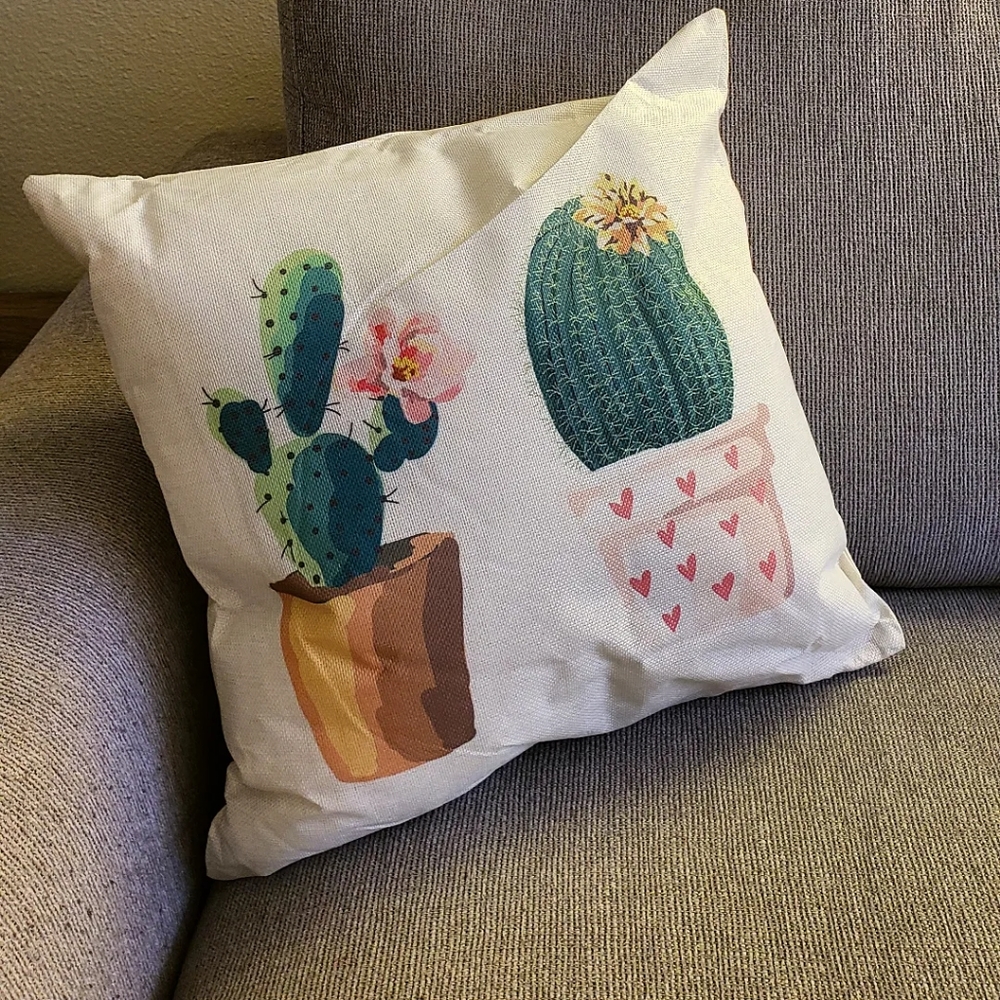 2/$45 Cactus theme accent pillow
